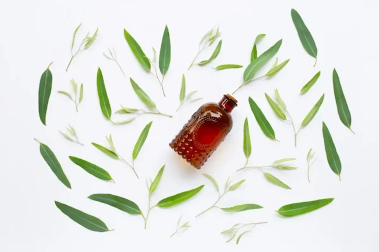huile tea tree bouteille feuilles vertes
