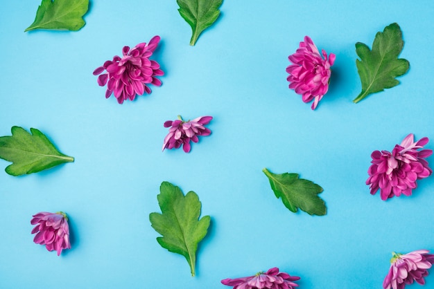 Qu'est-ce que le bakuchiol exactement ?