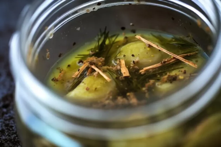 fourmis cuisine vinaigre naturel