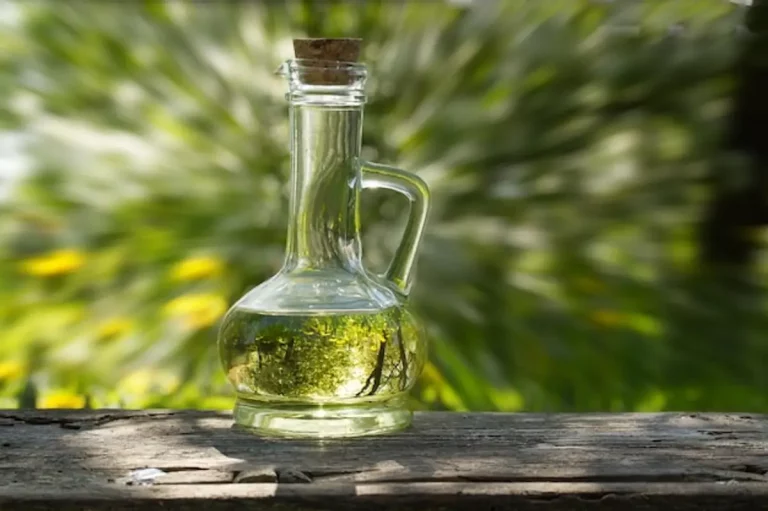 huile origan bouteille plante herbe