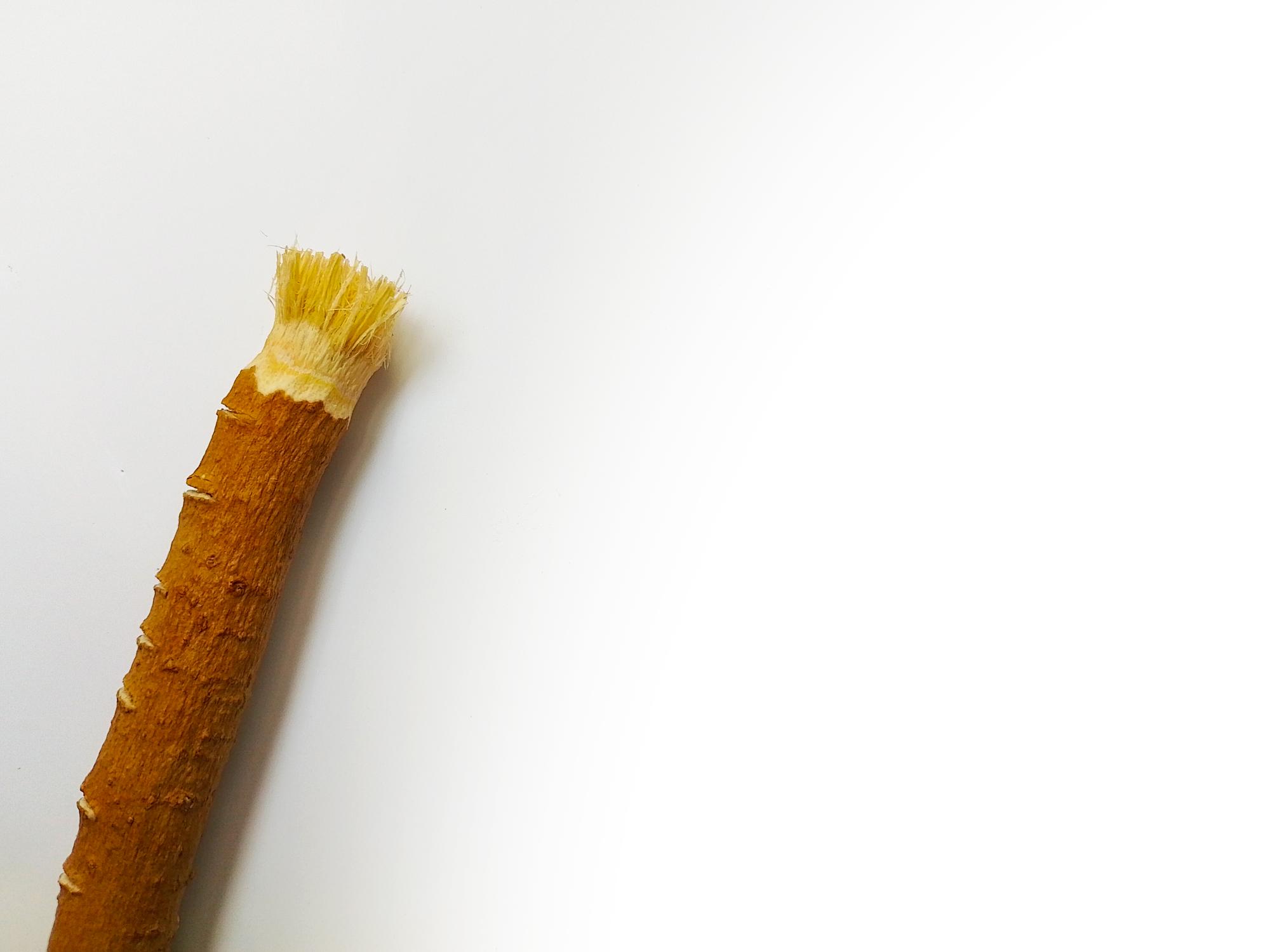 Le siwak, brosse à dents naturelle zéro déchet