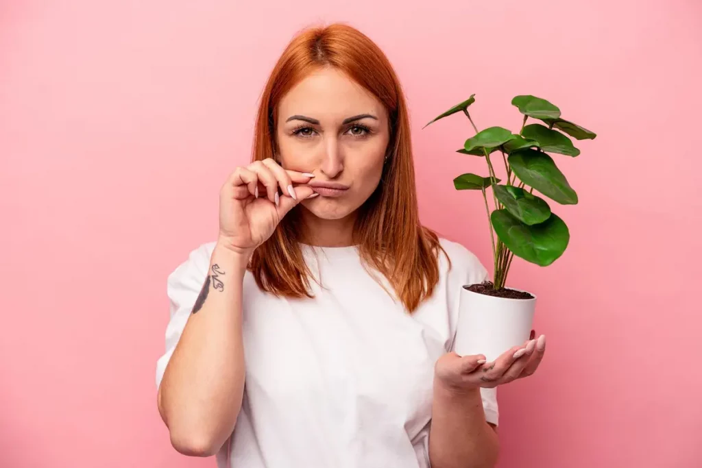 aphte bouche plante
