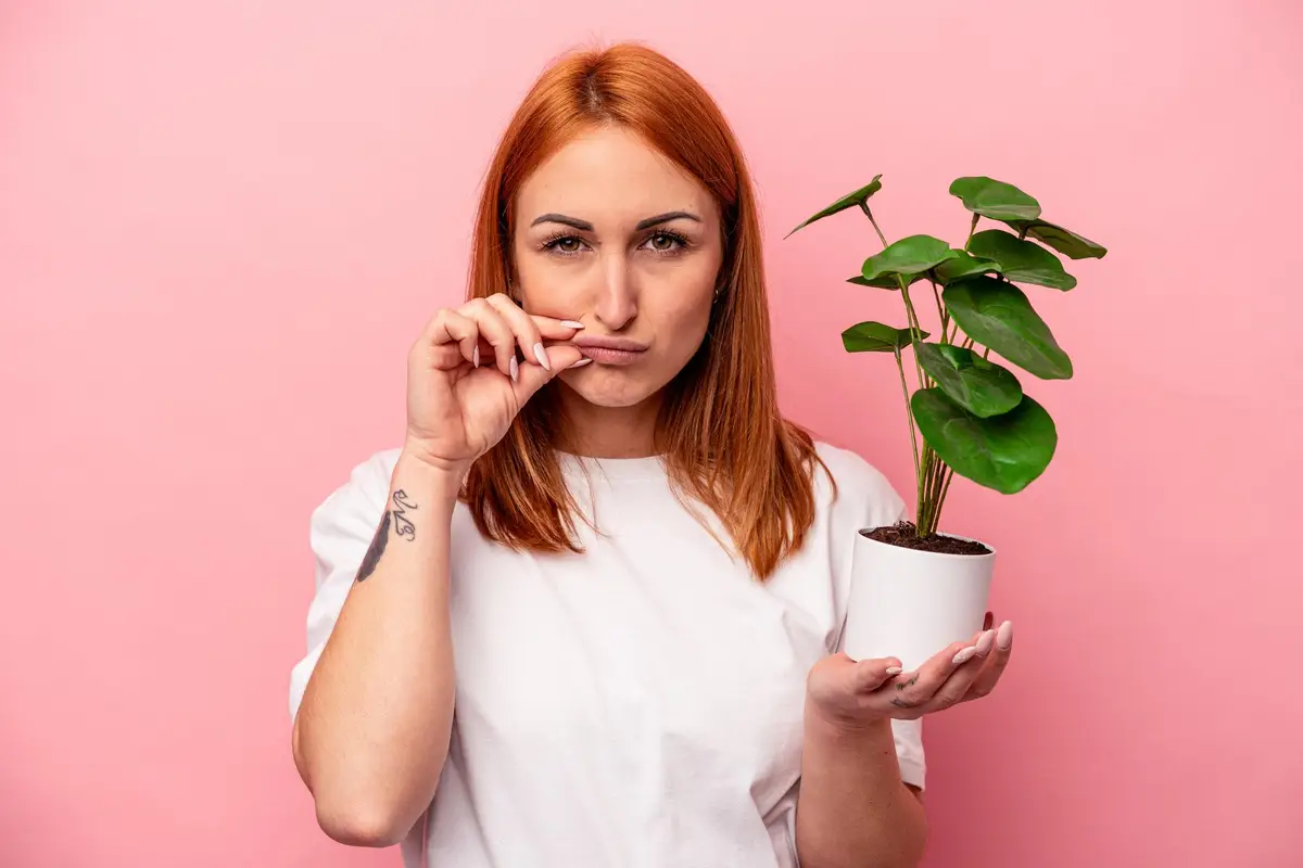 aphte bouche plante