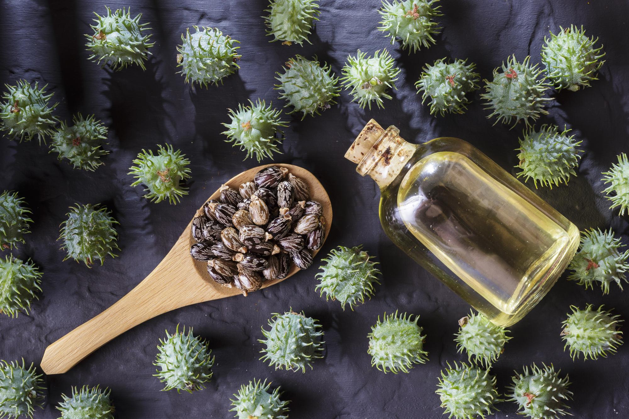 Comment l’huile de ricin peut-elle être dangereuse ?