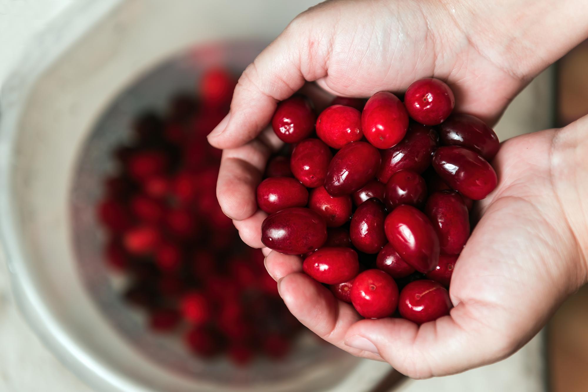 Quelles sont les contre-indications principales de la cranberry ?