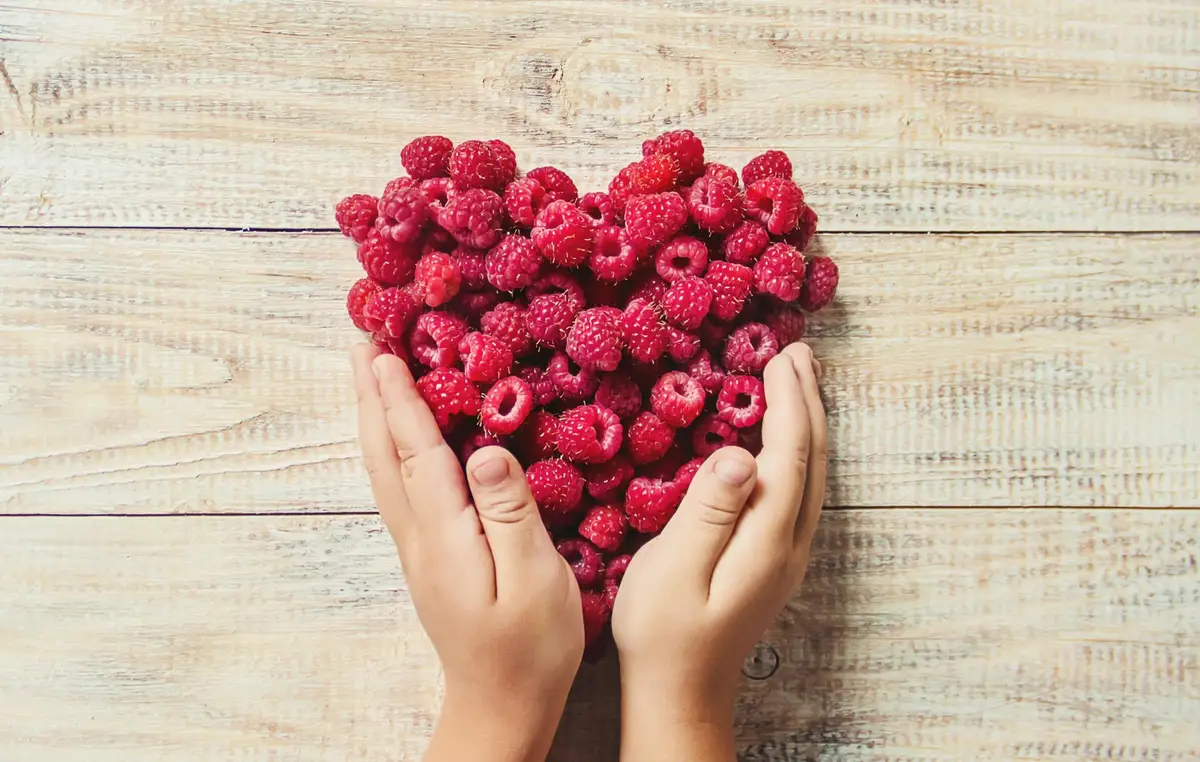 framboises fraîches antioxydants santé