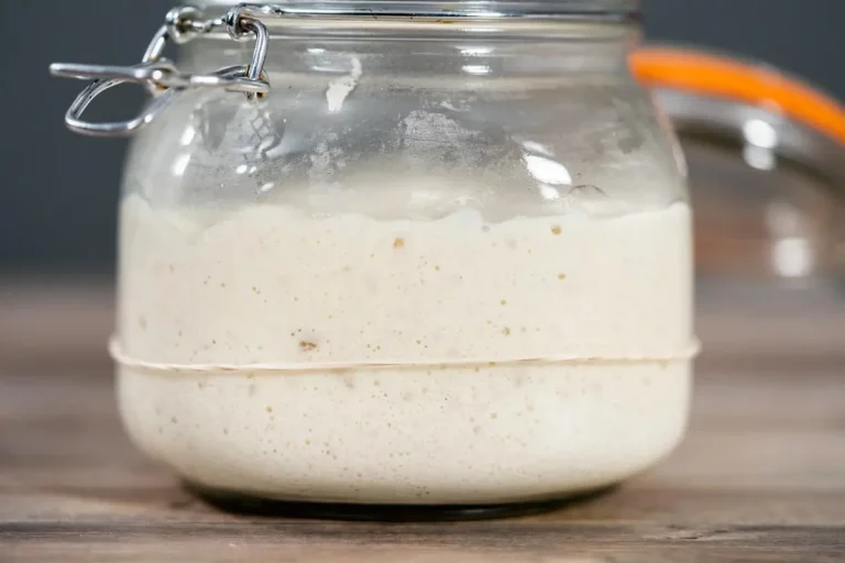 kéfir de lait grains fermentation bocal