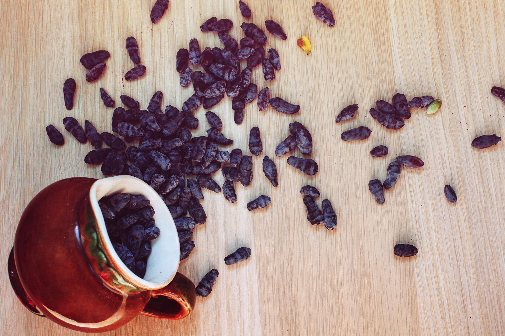 Comment les raisins secs renforcent-ils le système immunitaire ?