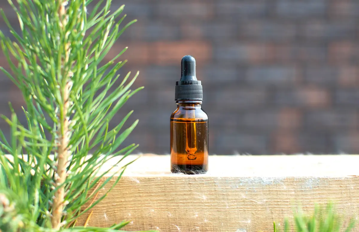 flacon huile essentielle tea tree