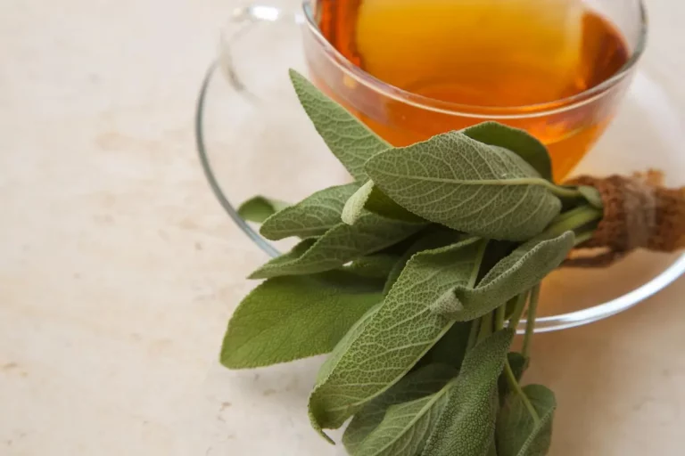 sauge officinale tisane