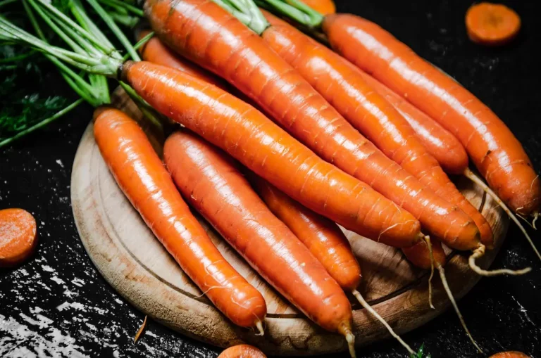 carottes fraîches