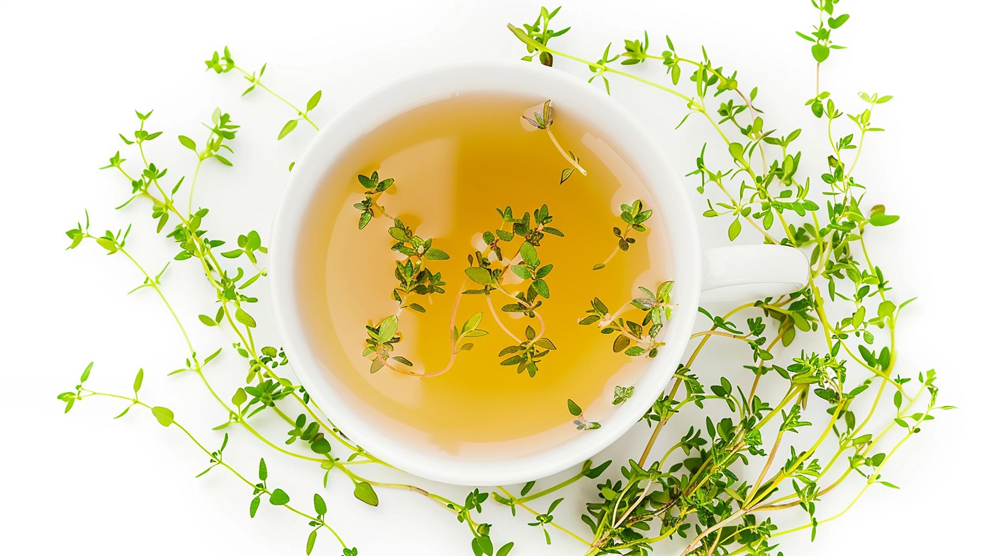 Quels sont les principaux bienfaits de la tisane au thym ?