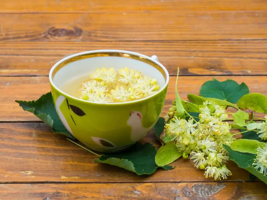 cup of linden tea