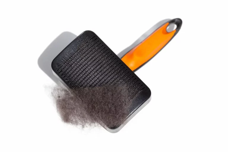 hair brush cleaning
