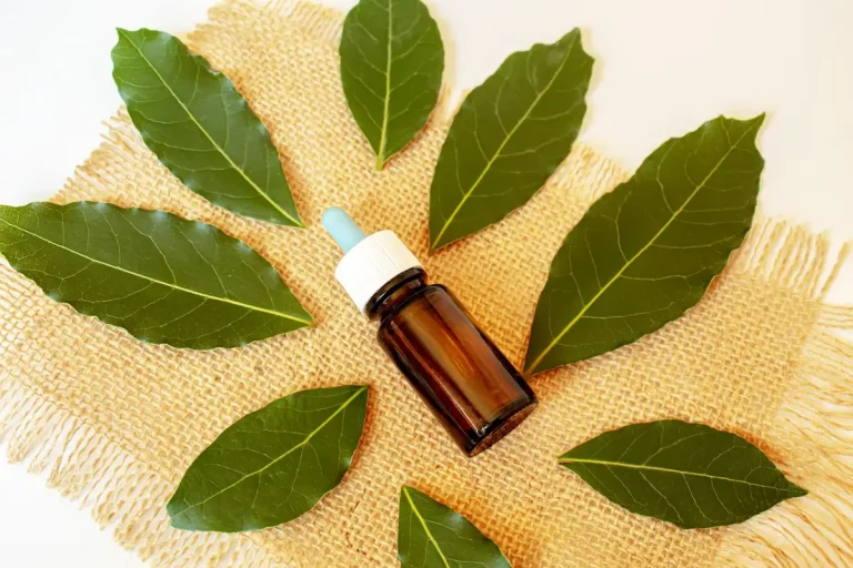 ravintsara leaves bottle